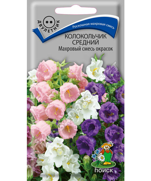 Колокольчик махровый Смесь окрасок семена