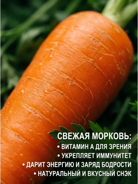 Морковь Королева Осени семена 