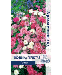 Гвоздика перистая Грёзы