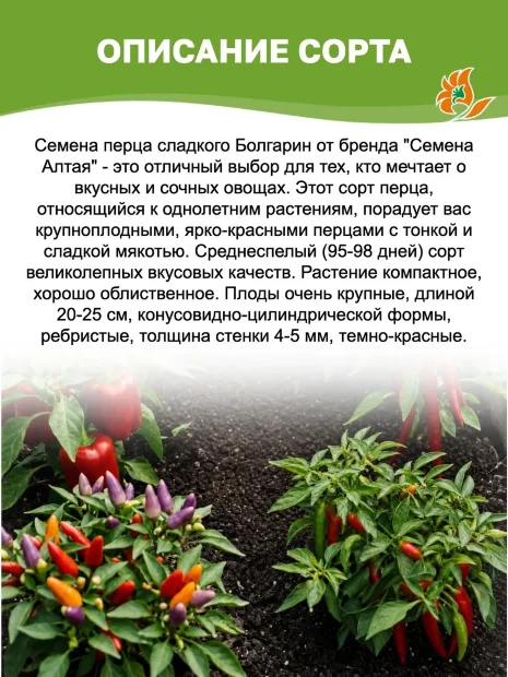 Перец сладкий Болгарин семена 