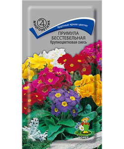 Примула Крупноцветковая смесь (бесстебельная) Примула Крупноцветковая смесь (бесстебельная)