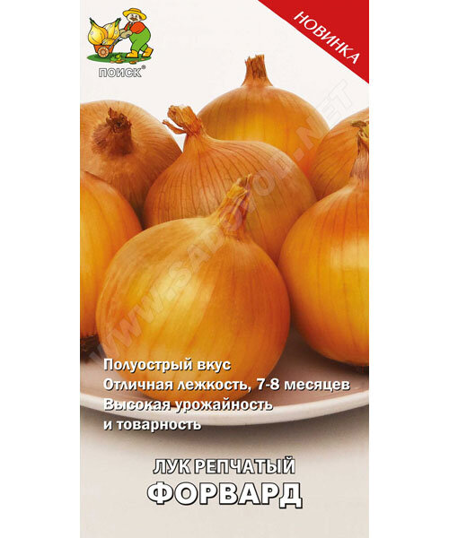Лук репчатый Форвард семена 