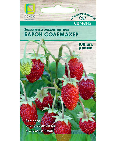 Земляника Барон Солемахер драже (ремонтантная) семена 