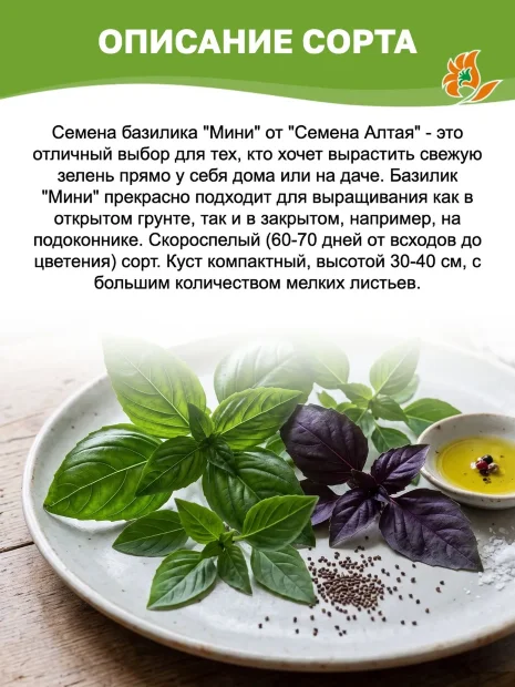 Базилик Мини семена 