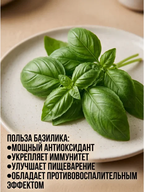 Базилик Мини семена 
