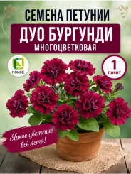 Петуния махровая многоцветковая Дуо Бургунди